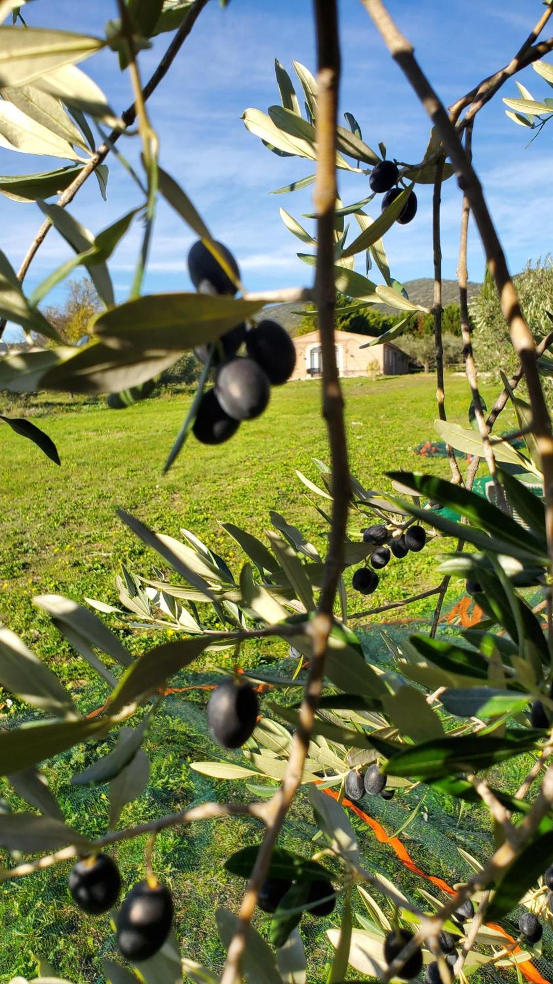 فيلا Reve En Luberon Lauris المظهر الخارجي الصورة