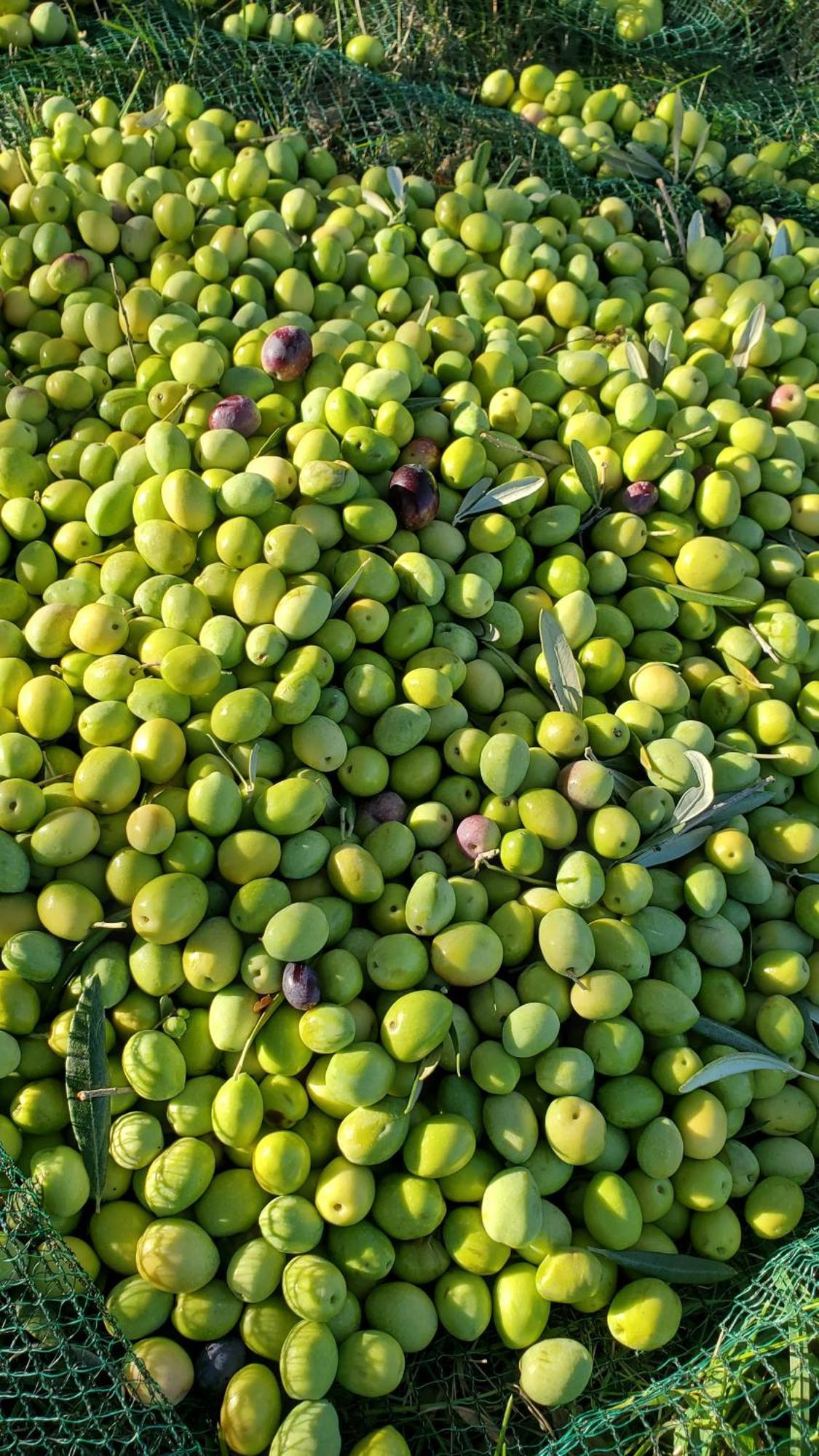 فيلا Reve En Luberon Lauris المظهر الخارجي الصورة